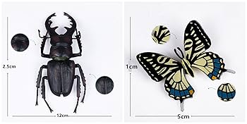 Amazon | Eden Toys 昆虫 動物 フィギュア 模型 リアル 誕生日